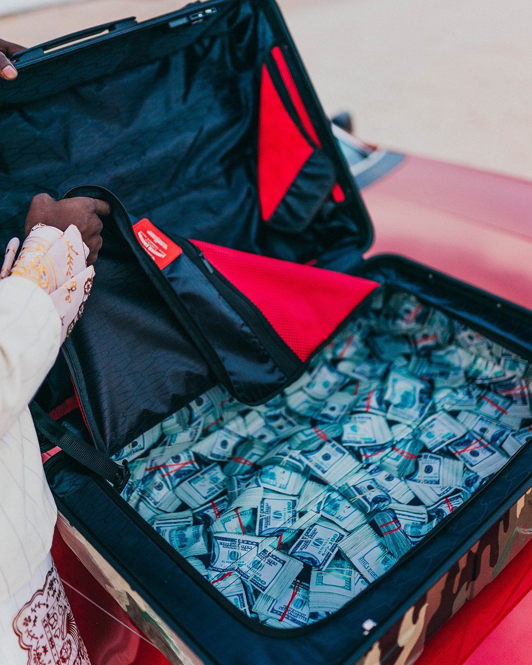 JUNGLE PARIS 21.5” CARRY-ON SHARKITECTURE LUGGAGE